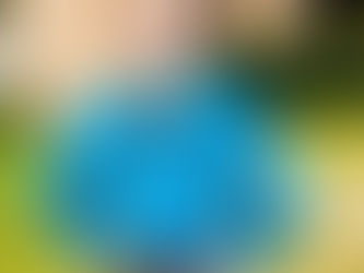 Erath County first grader makes history at the Fort Worth Stock Show & Rodeo with mutton bustin' ride.