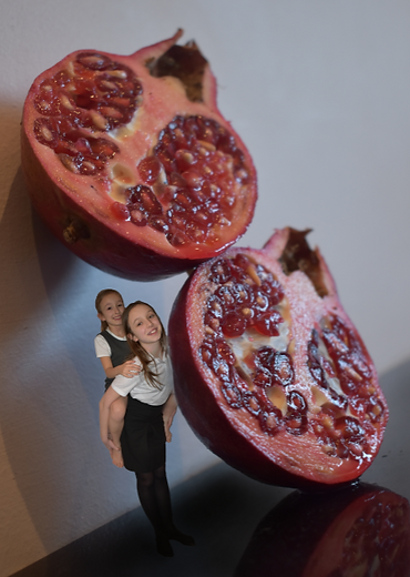 abbie and jess fruits BAD.PNG
