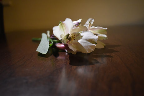 DSC_1081.JPG