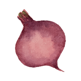 Rødbede