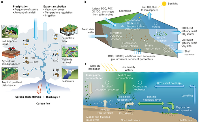 Processes-that-affect-organic-and-inorga