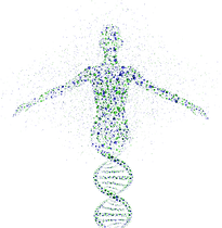 hiclipart.com (22).png