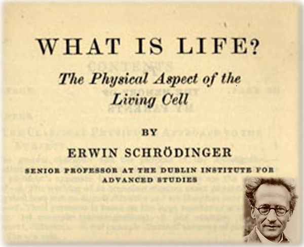what-is-life-schrodinger.jpg