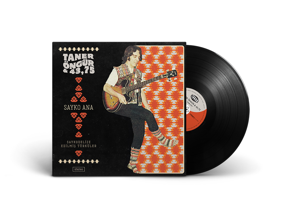 TNT023-TANER-LP2-mockup.png