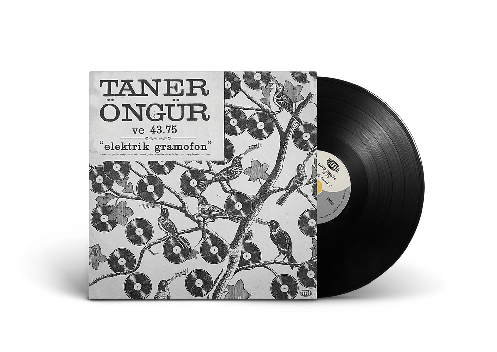 TNT017-TANER-LP-mockup.png