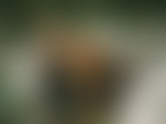 The Wild Hope of Recovering Endangered Species