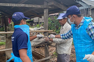 Human and Animal Health Outbreak Event Monitoring in Cambodia