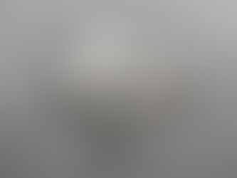 How All of Me’s Governance Prevents Platform Corruption