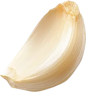 knoflook-teentje-roode-leeuw.webp