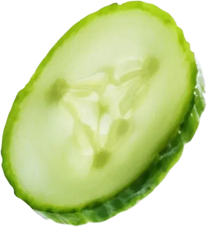 komkommer-ingredient-roode-leeuw.webp