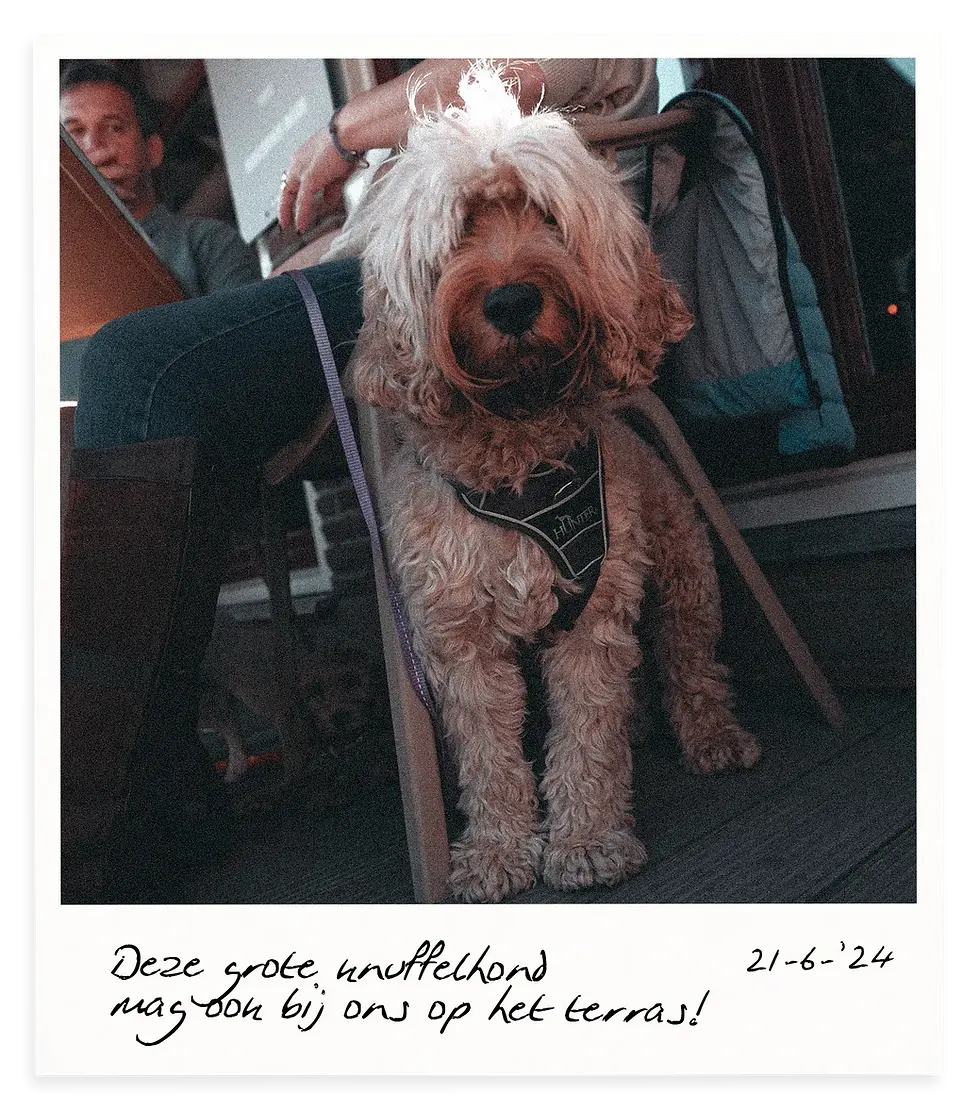 Honden welkom bij De Roode leeuw