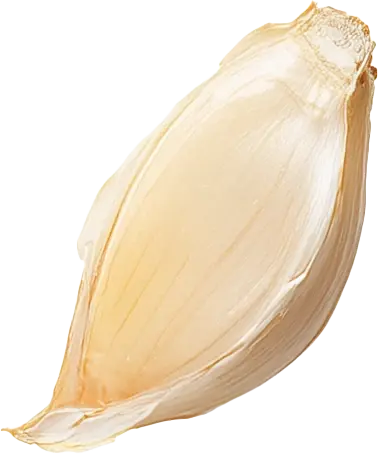 teentje-knoflook-roode-leeuw.webp