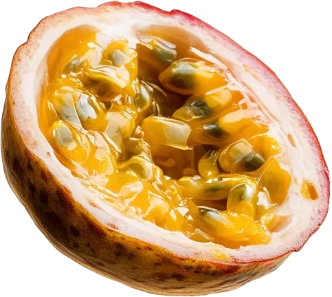 passionfruit-cocktail-roode-leeuw.webp