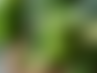 Unlocking the Health Benefits of Dehydrated and Freeze-Dried Combo in Horta Smoothies