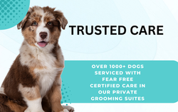 OVER 1000+ DOGS SERVICED WITH FEAR FREE CERTIFIED CARE IN OUR PRIVATE GROOMING SUITES