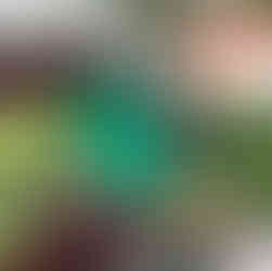 Fura Gems's colombian emerald in hexagonal crystal structures