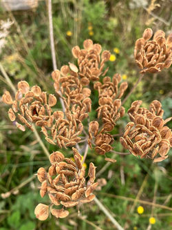 9d9fe21f-99ef-49fa-a2cd-ade8aea8bad9 (1)