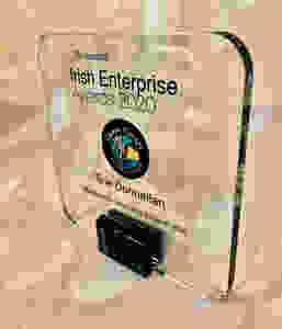 Award Irish Enterprise Awards 2020