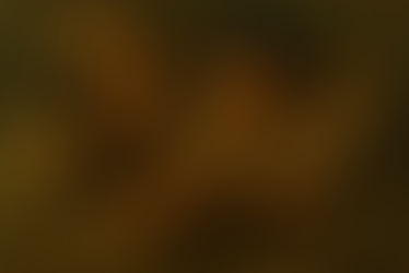 Courage and Destiny - Short Story (A2-B1)