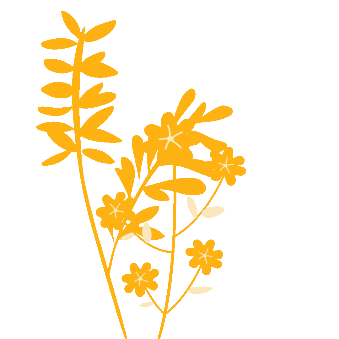 Flowers of Sun