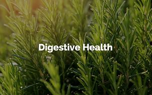 Digestive.png