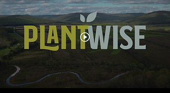 Screen Shot 2022-01-14 at 5.28.06 PM.png