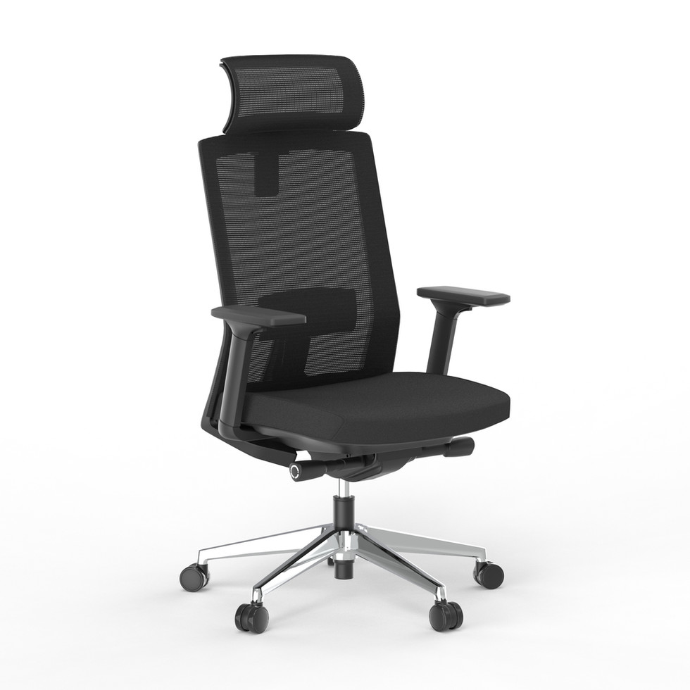Bisley Veneto Executive chair with adjustable lumbar support