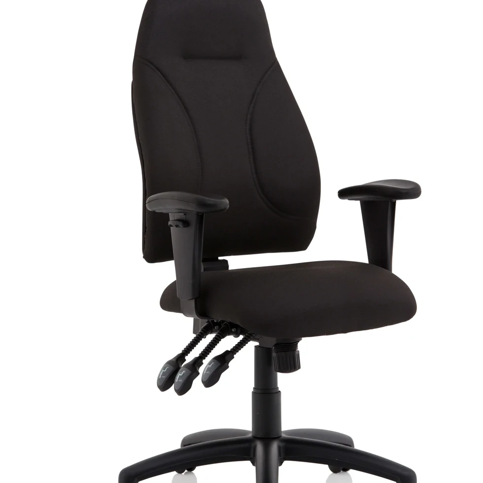 Esme high-back ergonomic office chair with adjustable arms in black fabric
