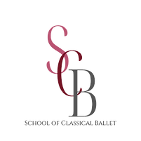 SCB_logo_transparent (1).png