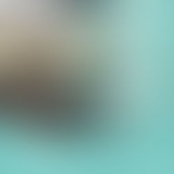 Welcome to 2021! Check out our New Schedule