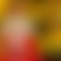 Nutcraker show and tea party... comming