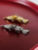 Miniatura: Pingente Peixe