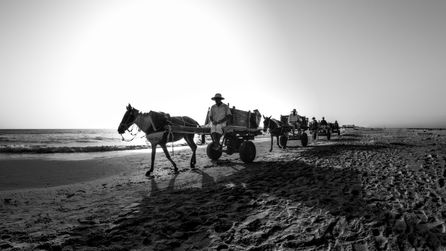 Tunisia - Mahdia 2012