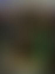 Festival igale maitsele. Haapsalu “Valgete ööde festival”