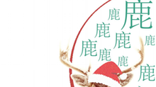 UPDATE - 013