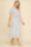 365EA0DB-3799-436A-863D-67C5FFABF072.png