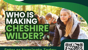 Who is making Cheshire Wilder?