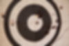 Shooting Target
