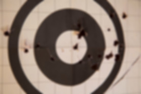 TTA Firearms Classes, Pistol and Rifle