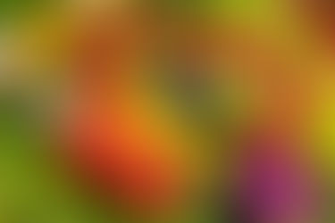 Vitaminas importantes para a saúde ocular