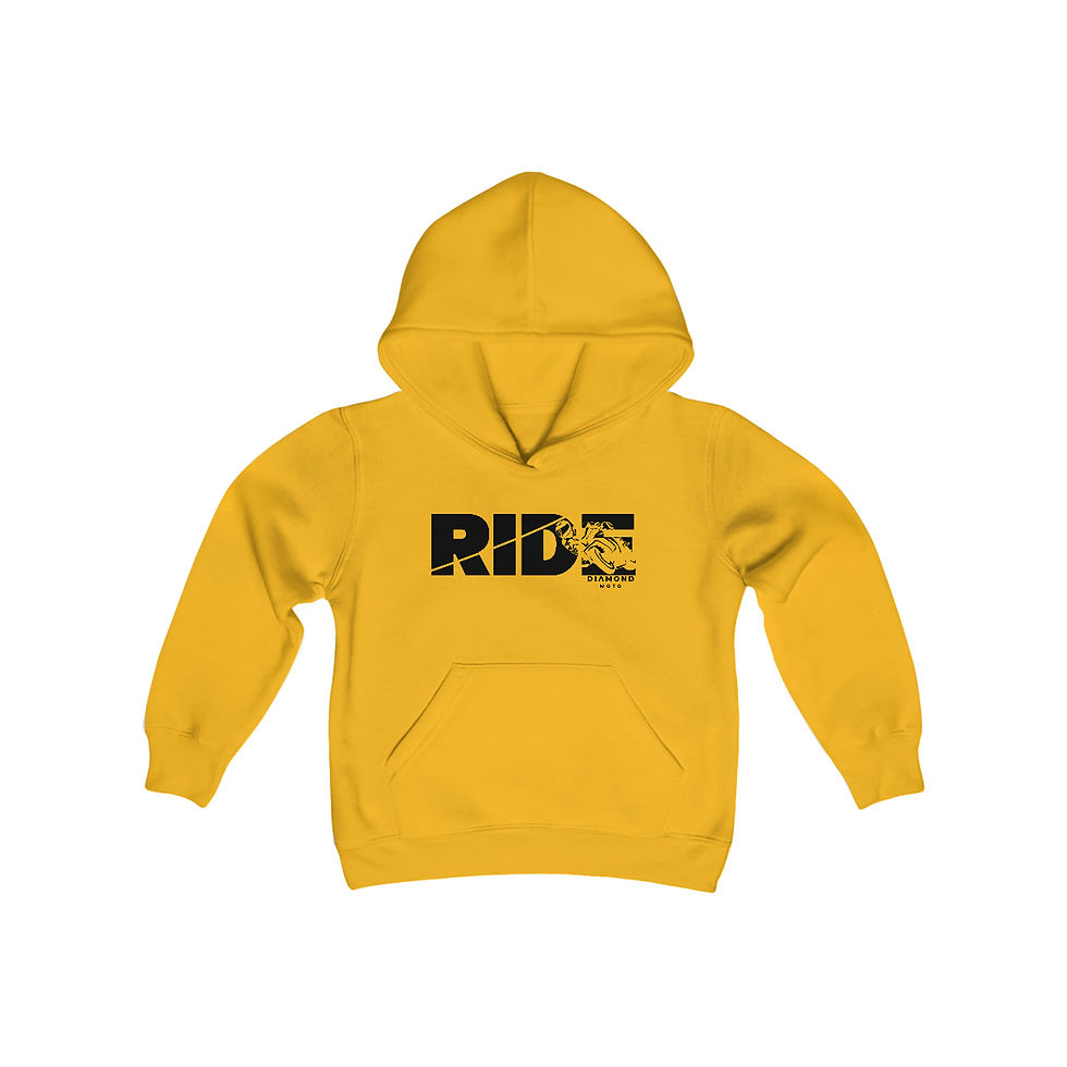 Thumbnail: RIDE Moto GP Kid's Hoodie
