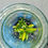 Thumbnail: Philodendron Red Congo Variegated