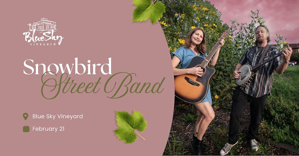 Snowbird Streetband (Folk/Bluegrass)