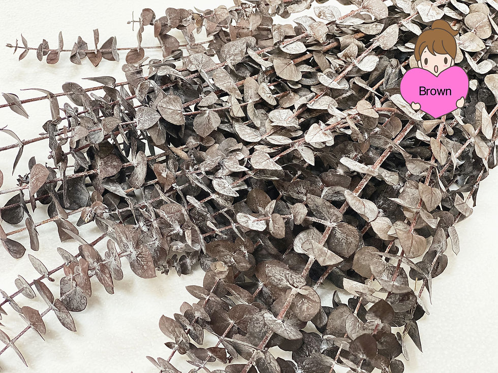 Thumbnail: 30" Tall Dried Eucalyptus Branches