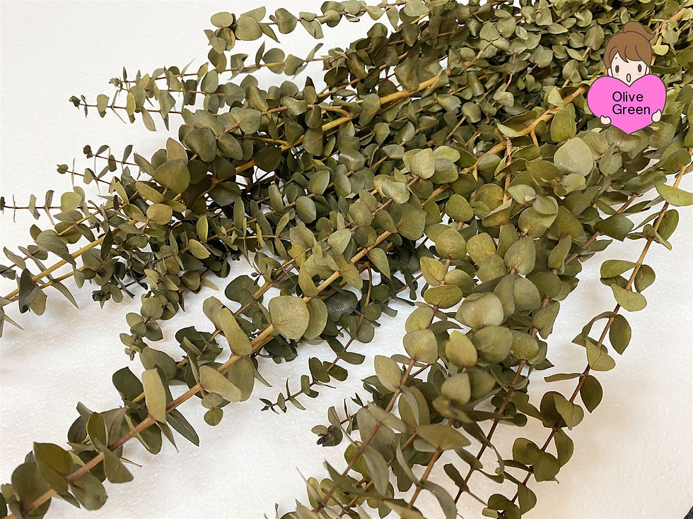Thumbnail: 30" Tall Dried Eucalyptus Branches