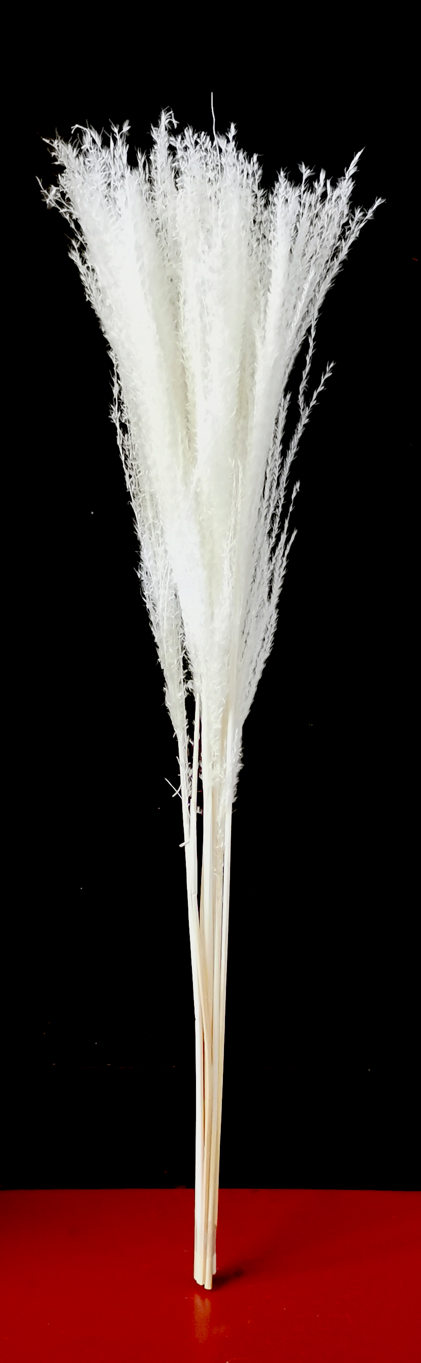 Thumbnail: 26" Dried Natural Pampas Grass and 48" Jumbo Reed Pure White Variation