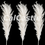 Thumbnail: 26" Dried Natural Pampas Grass and 48" Jumbo Reed Pure White Variation