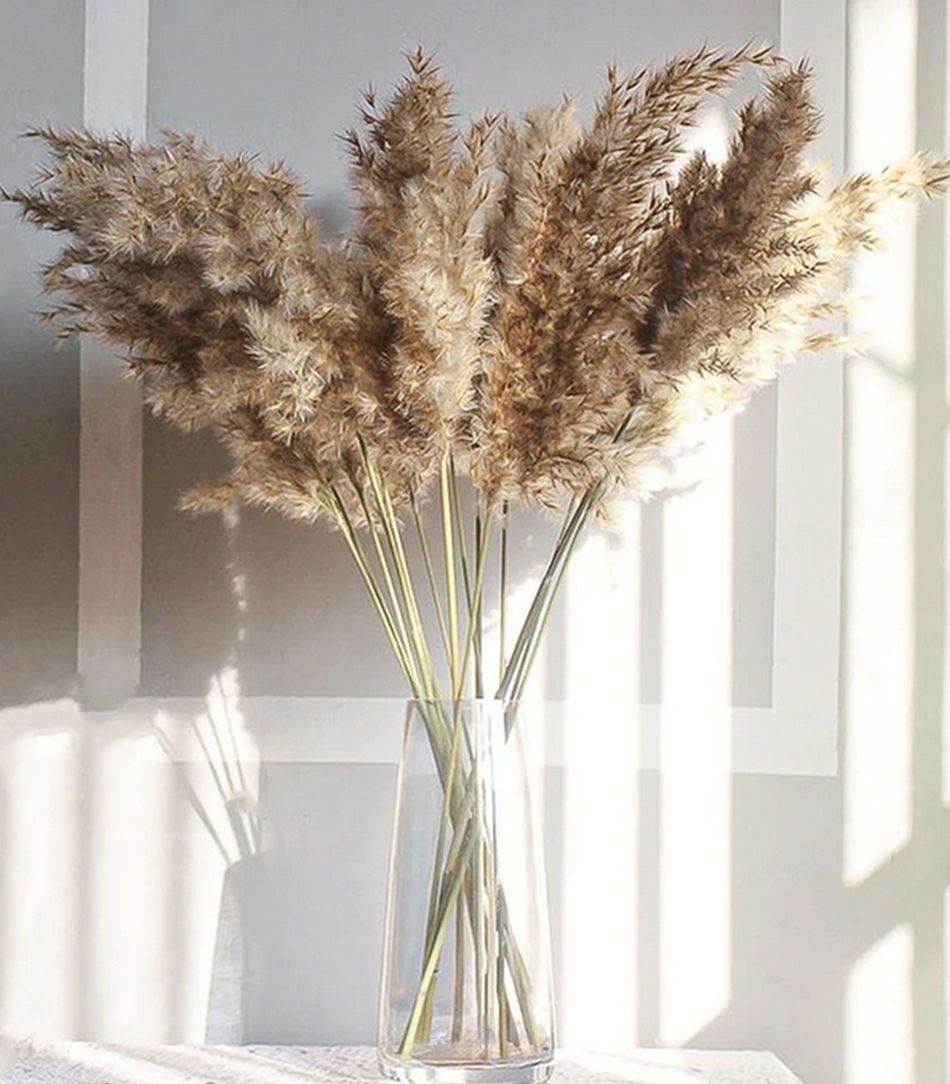 Thumbnail: Dried Natural Pampas Grass Reed and Jumbo Reed Variation