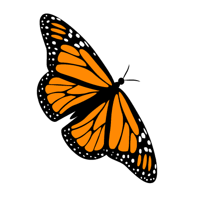 butterfly-gif-png-4.gif