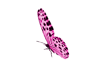 856378_b6e78.gif